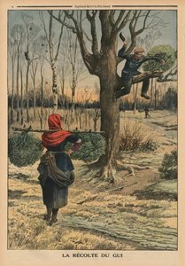 ヤドリギのカット、「ルプチジャーナル」の裏表紙イラスト、補足イラストレーター、1914年1月4日 作： French School